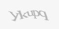 Защитный код