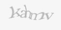 Защитный код