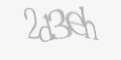 Защитный код