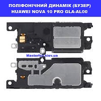 Заміна поліфонічго динаміка (бузер) Huawei Nova 10 Pro (GLA-AL00) Шулявка Святошино Академ містечко