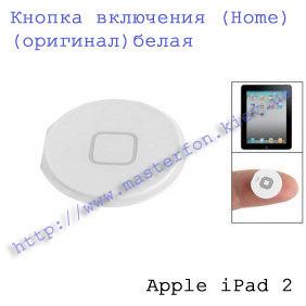 Замена кнопки включения Apple iPad 2 белая