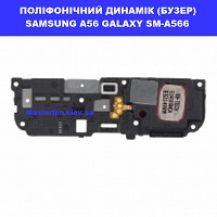 Заміна поліфонічного динаміка (бузер) Samsung A56 Galaxy SM-A566 100% оригінал ТЦ Смарт плаза Соломенський район