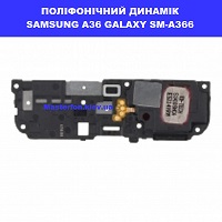 Заміна поліфонічного динаміка (бузер) Samsung A36 Galaxy SM-A366 100% оригінал ТЦ Смарт плаза Соломенський район