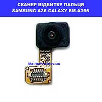 Заміна шлейфа сканера відбитка пальця Samsung A36 Galaxy SM-A366 100% оригінал Дарниця Полуботка 7а