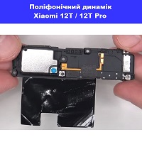 Заміна поліфонічного динаміка (бузер) Xiaomi 12T / 12T Pro Дніпровский район метро Лісна