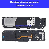 Замена полифонического (бузер) Xiaomi 13 Pro Правый берег Соломенка